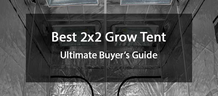 Best 2x2 Grow Tent Review