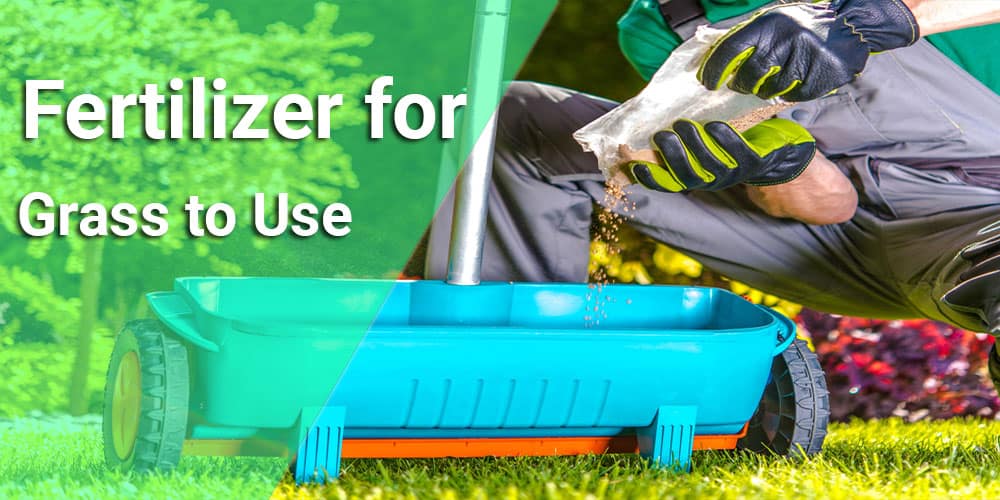 fertilizer-for-grass-to-use