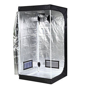 Best Grow Tent For The Money