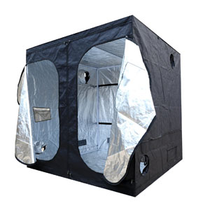 Best Grow Tent For The Money