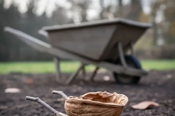 A Wheelbarrow in a Nutshell: The Quick Picture
