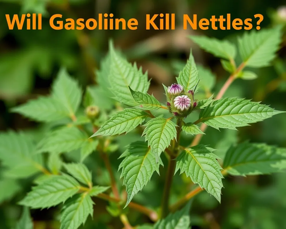Better Ways to Kill Nettles That Actually Work