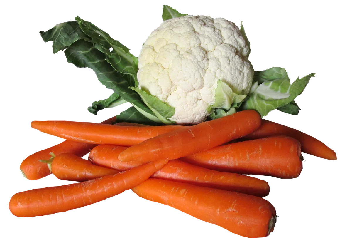 cauliflower plant no head