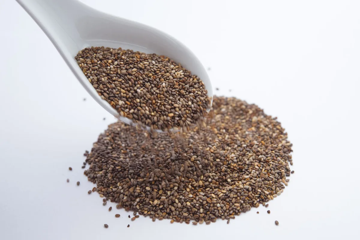 chia seeds feeding option for cats