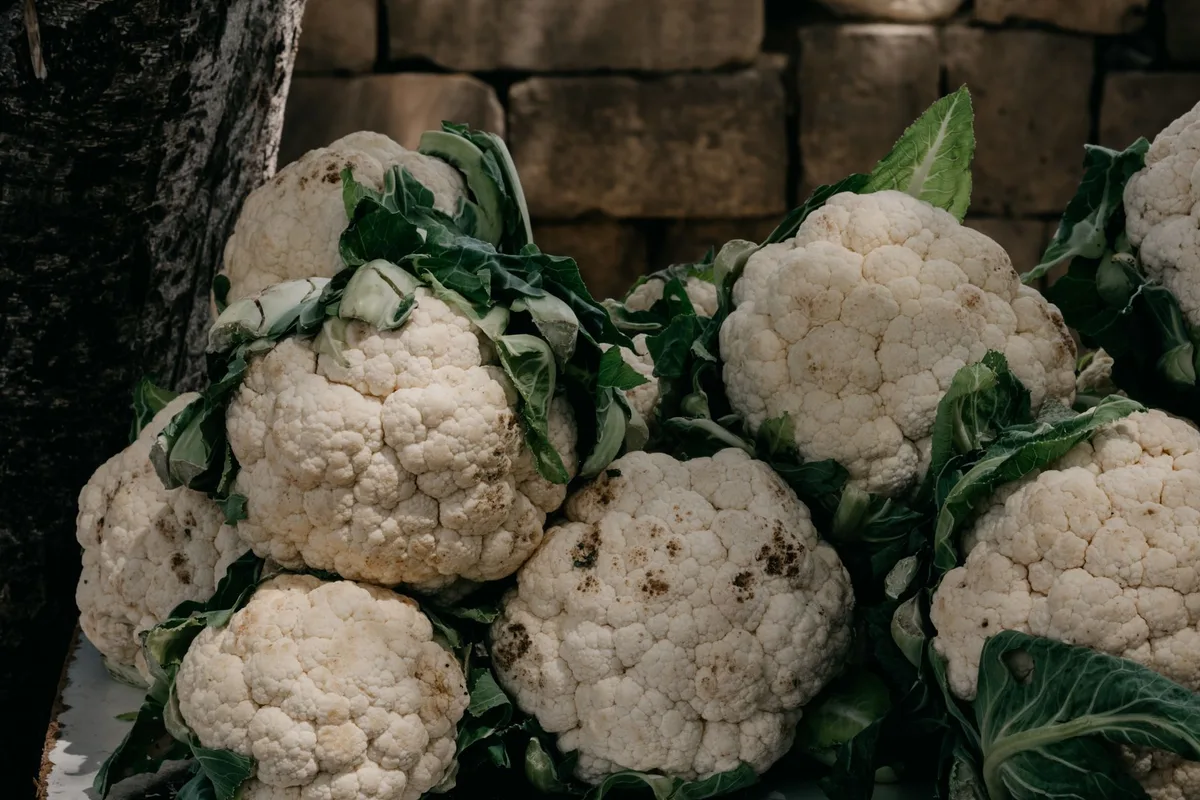 dry brown spots on cauliflower