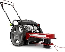 Earthquake Walk Behind String Mower 160cc
