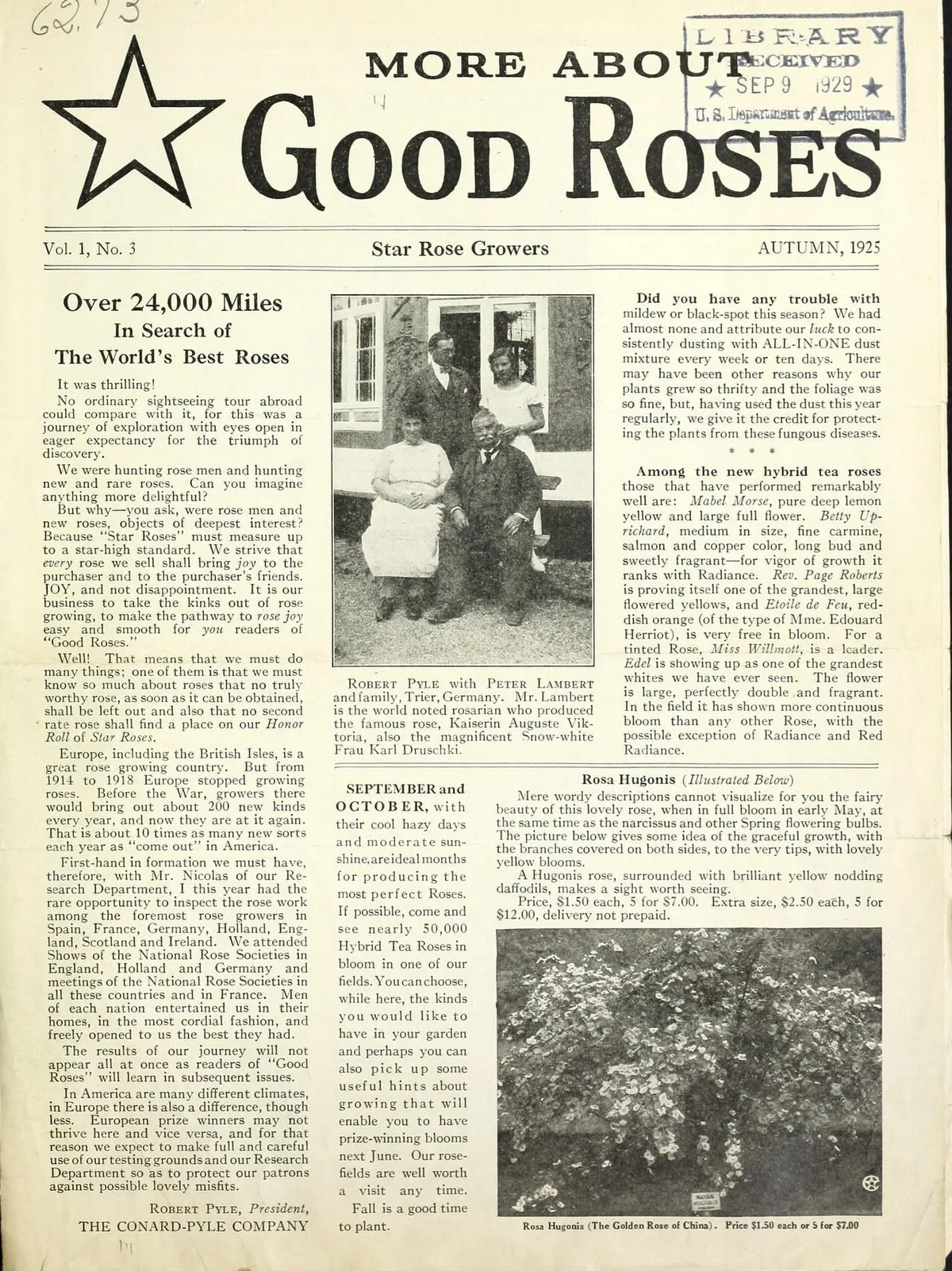 Fall planting of daffodil bulbs