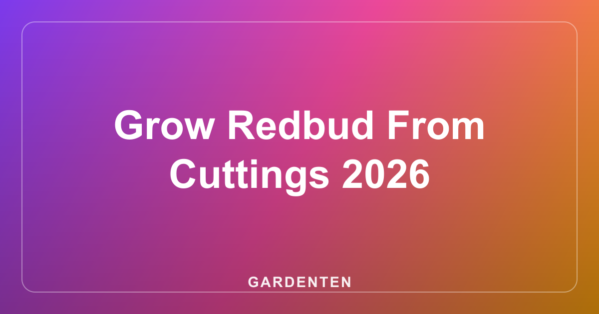 Grow Redbud From Cuttings 2026