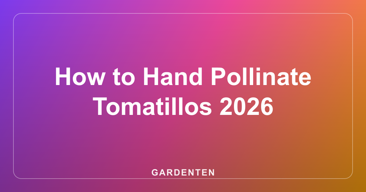 How to Hand Pollinate Tomatillos 2026