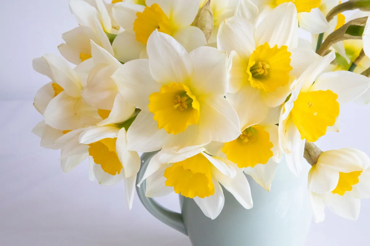 How To Make A Felt Daffodil Brooch