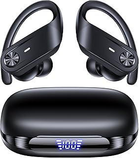 Hybrid Active Noise Cancelling Wireless Ear