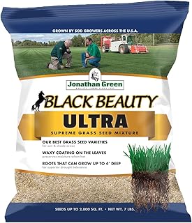 Jonathan Green (10322) Black Beauty Ultra
