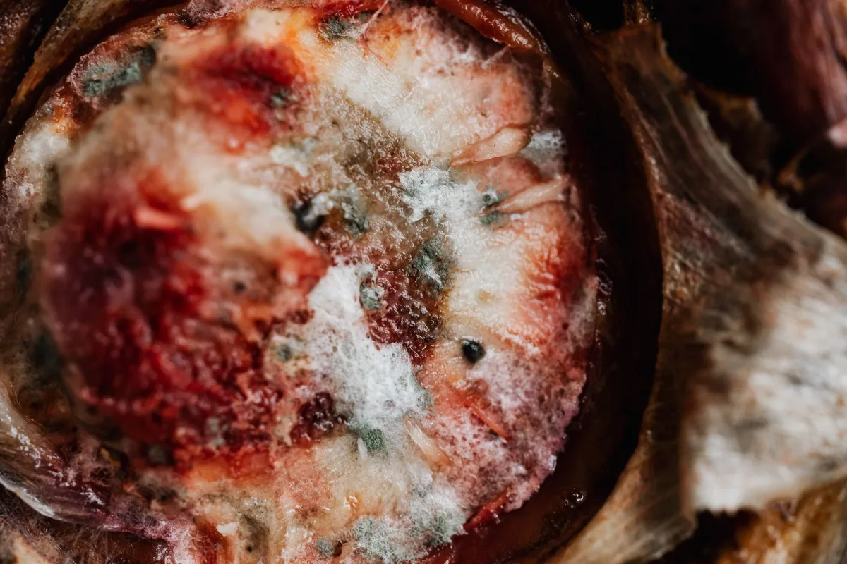 mold on mango