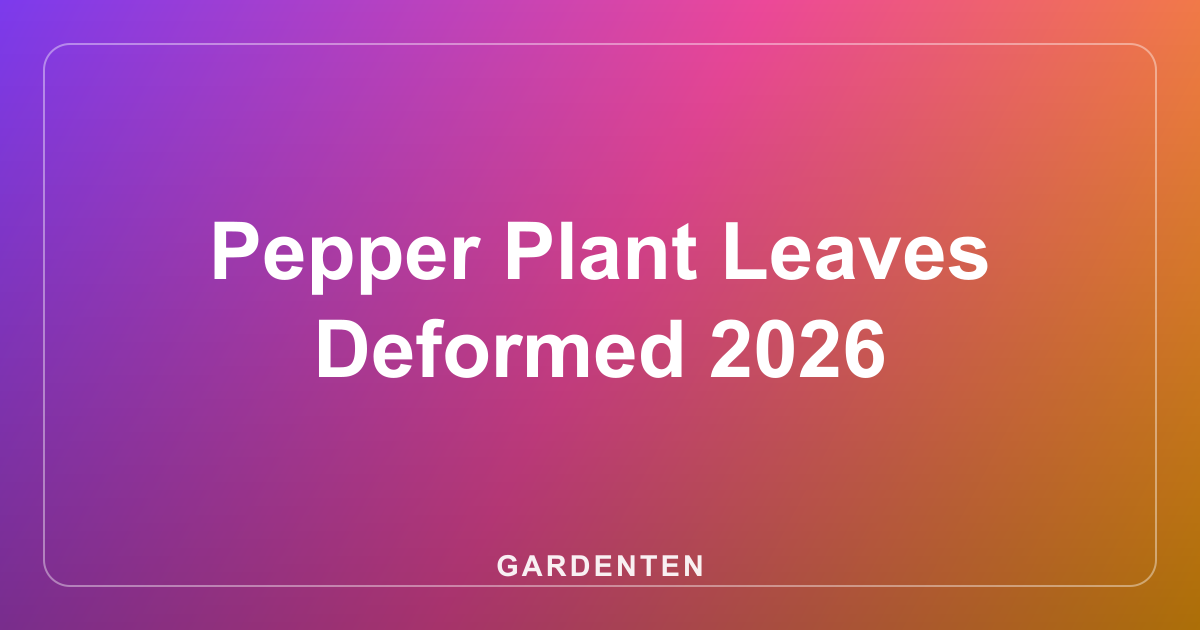 Pepper Plant Leaves Deformed 2026