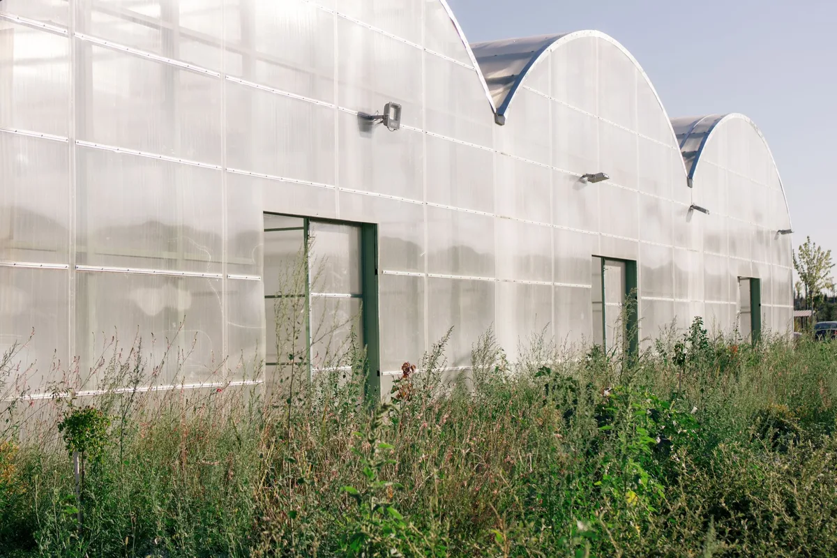 Polycarbonate Panels