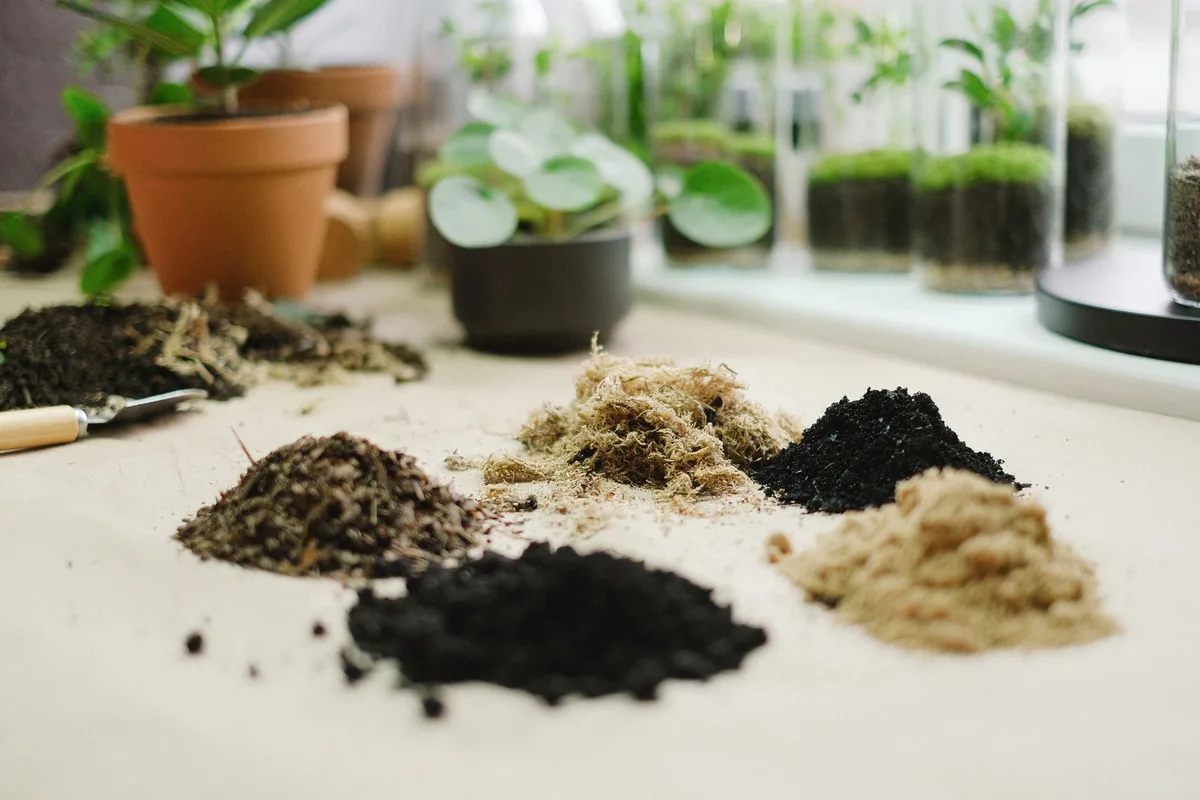Potting Soil vs. Raised Bed Soil