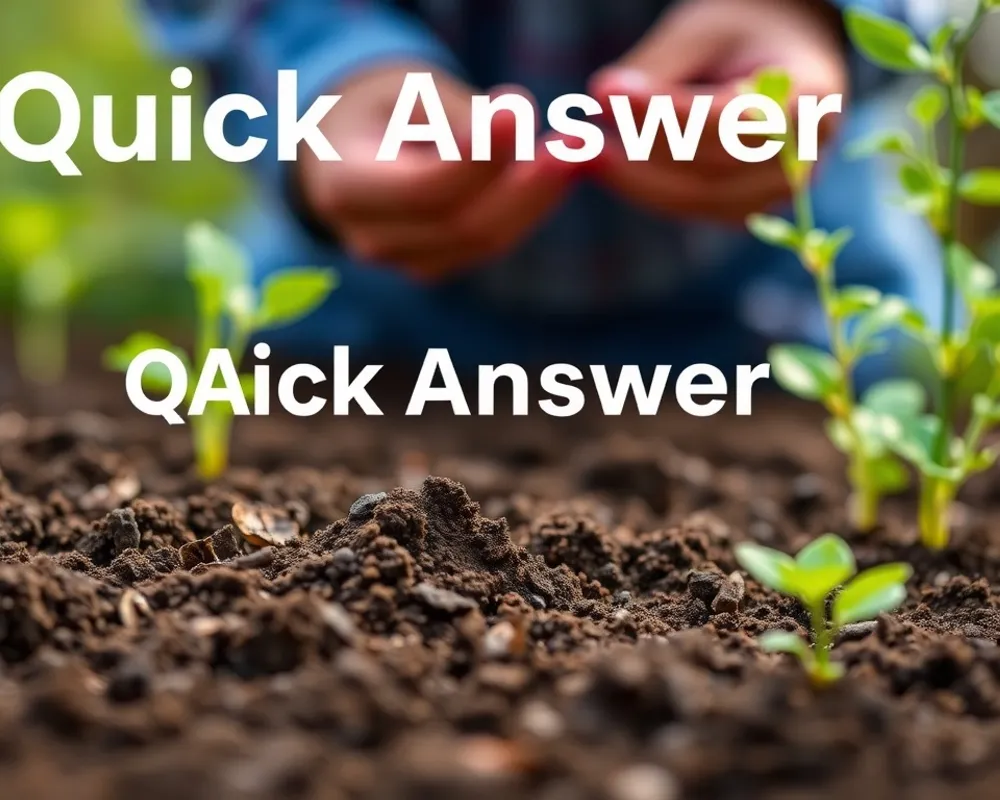 Quick Answer