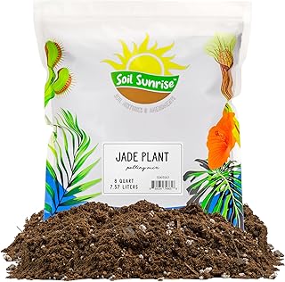 Soil Sunrise Jade Plant Potting Mix