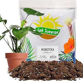 Soil Sunrise Monstera Houseplant Potting Mix