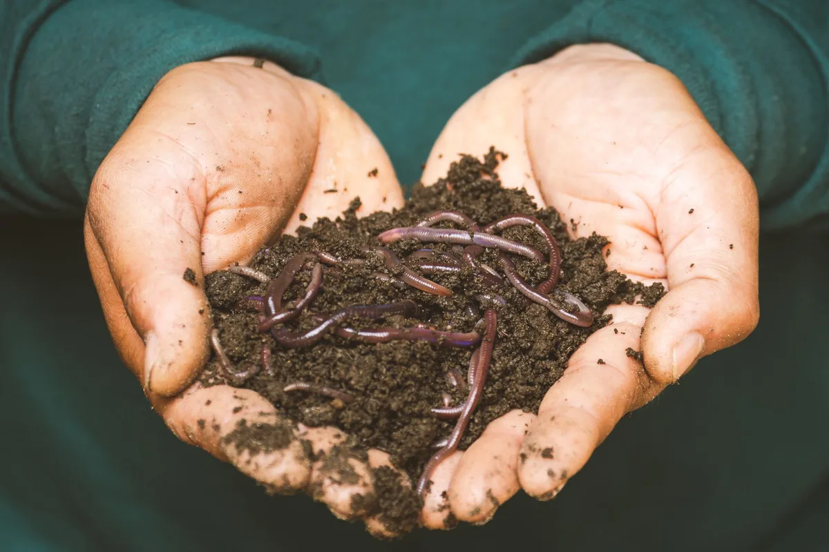 Soil texture compost