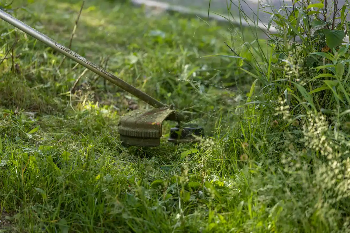 String trimmer line thickness comparison