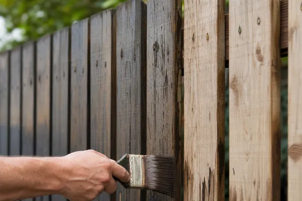 The Downsides: Why Brushing Might Not Be Best