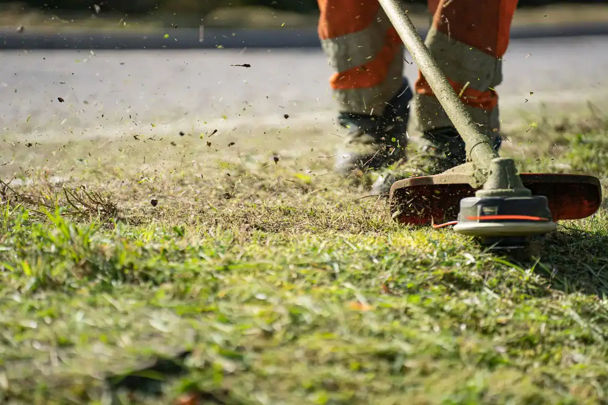 Thick brush cutting with string trimmer