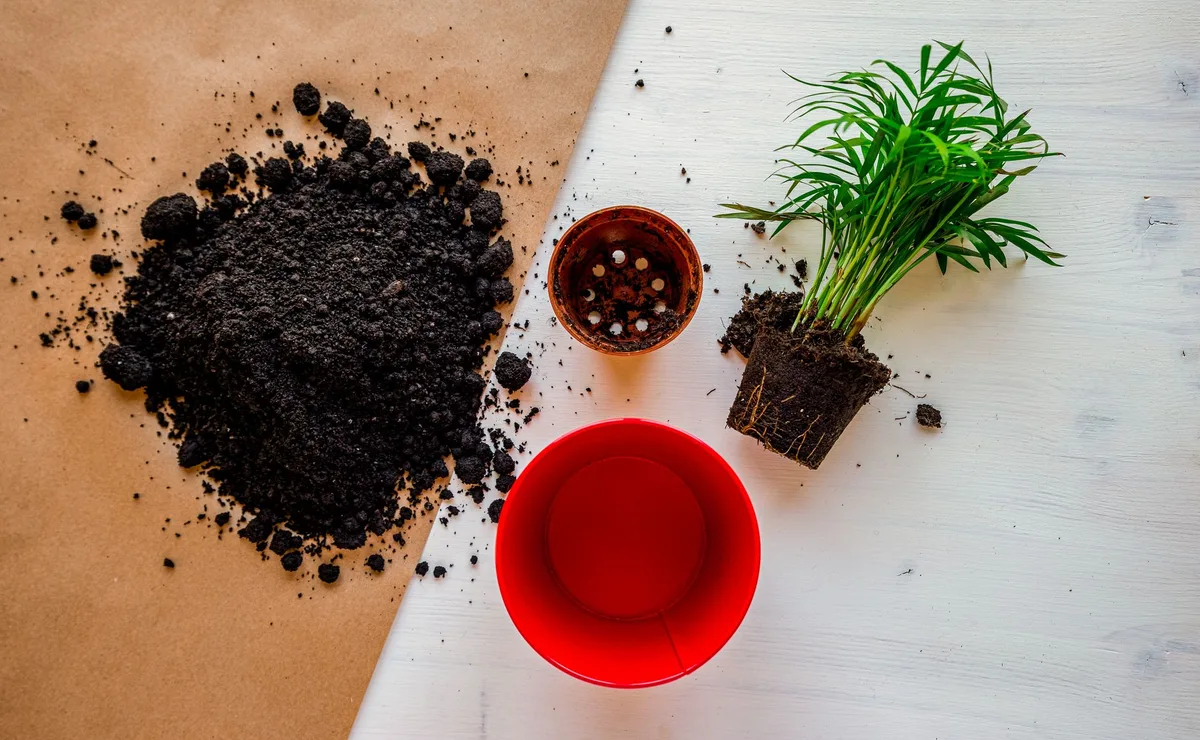 waterlogged soil
