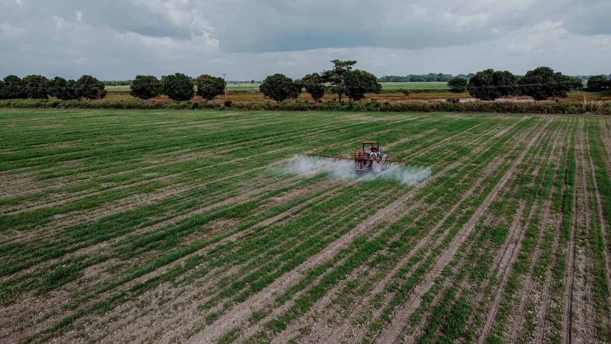 when to spray tenacity
