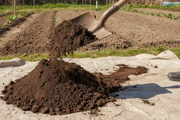 Your Go-To Tool: The Humble Shovel