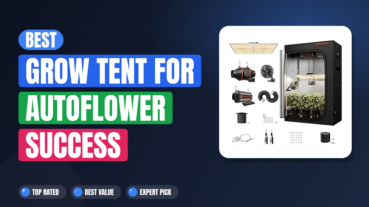 Best Grow Tent for Autoflower Success