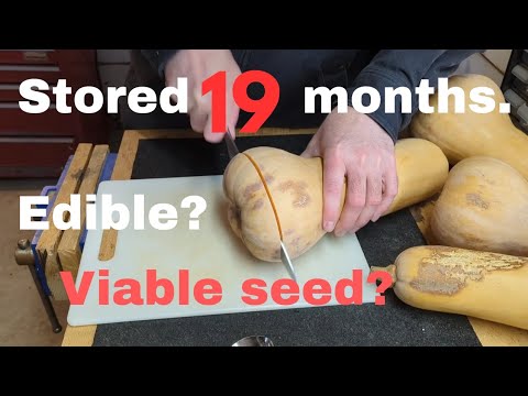 butternut squash long term storage
