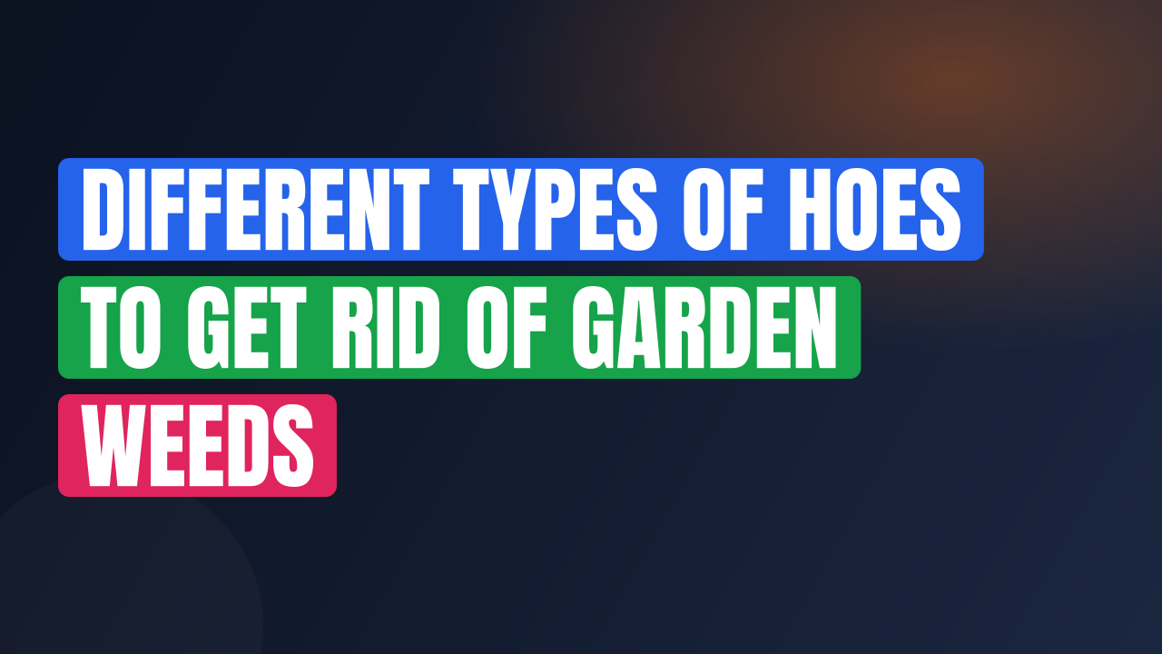 Different Types of Hoes to Get Rid of Garden Weeds
