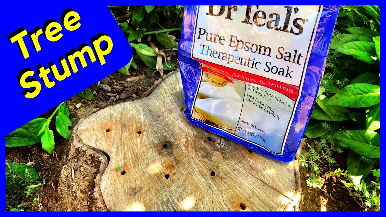 epsom salt bag drill stump