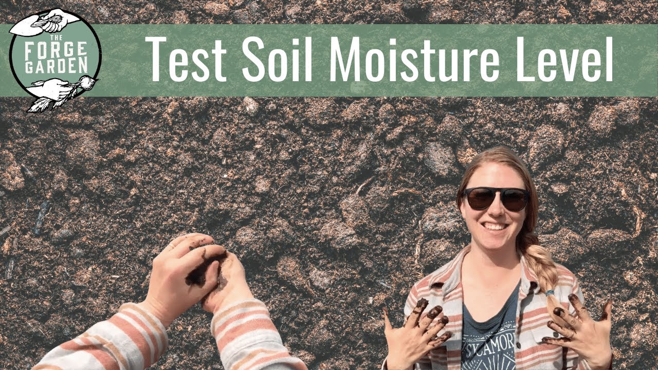 finger soil moisture test