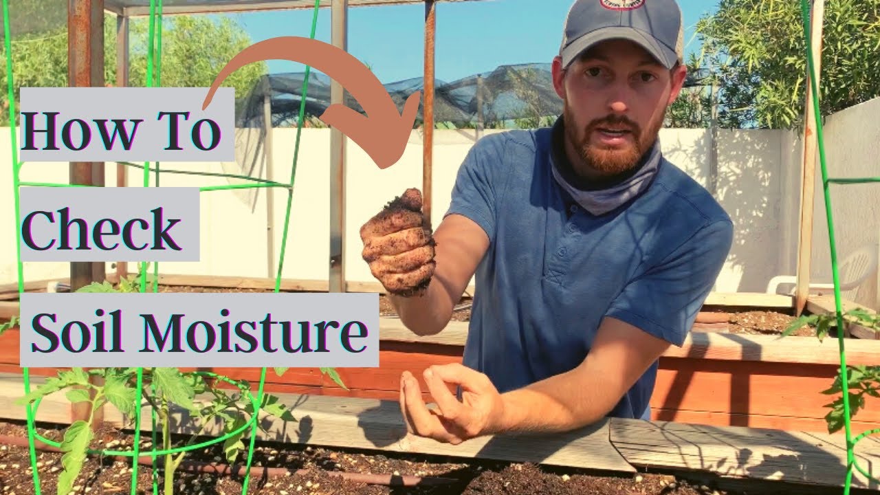 finger test soil moisture
