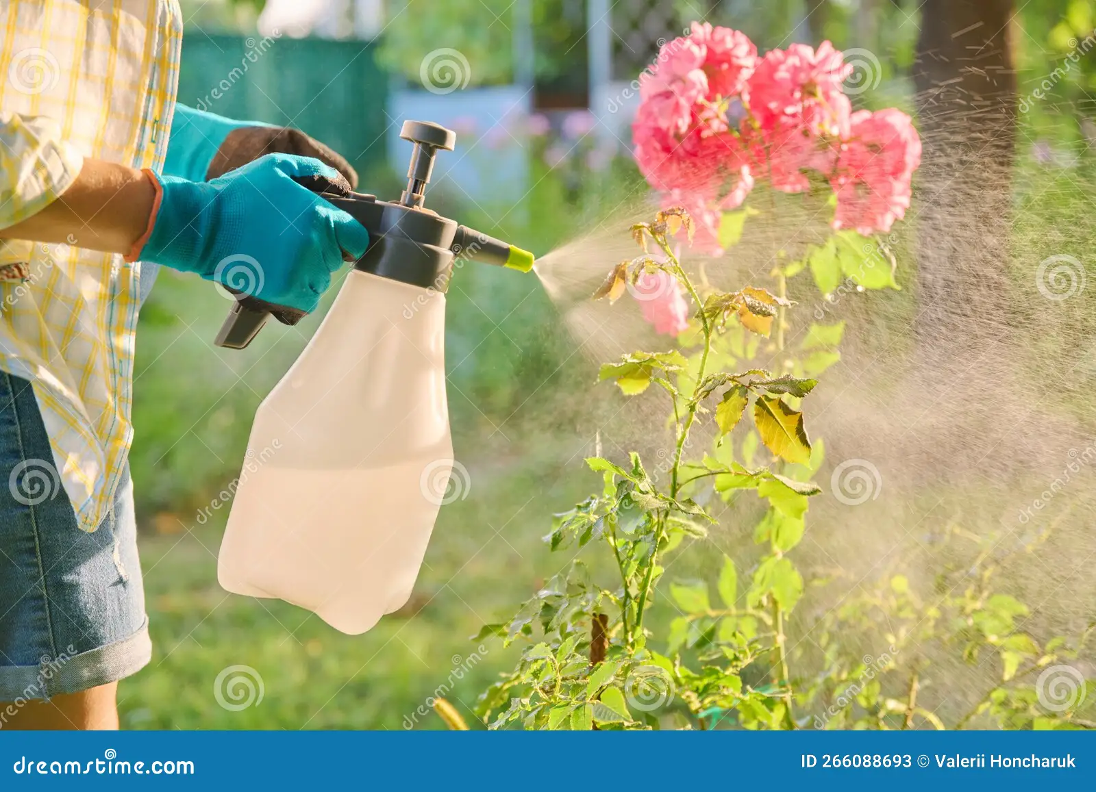 garden sprayer application
