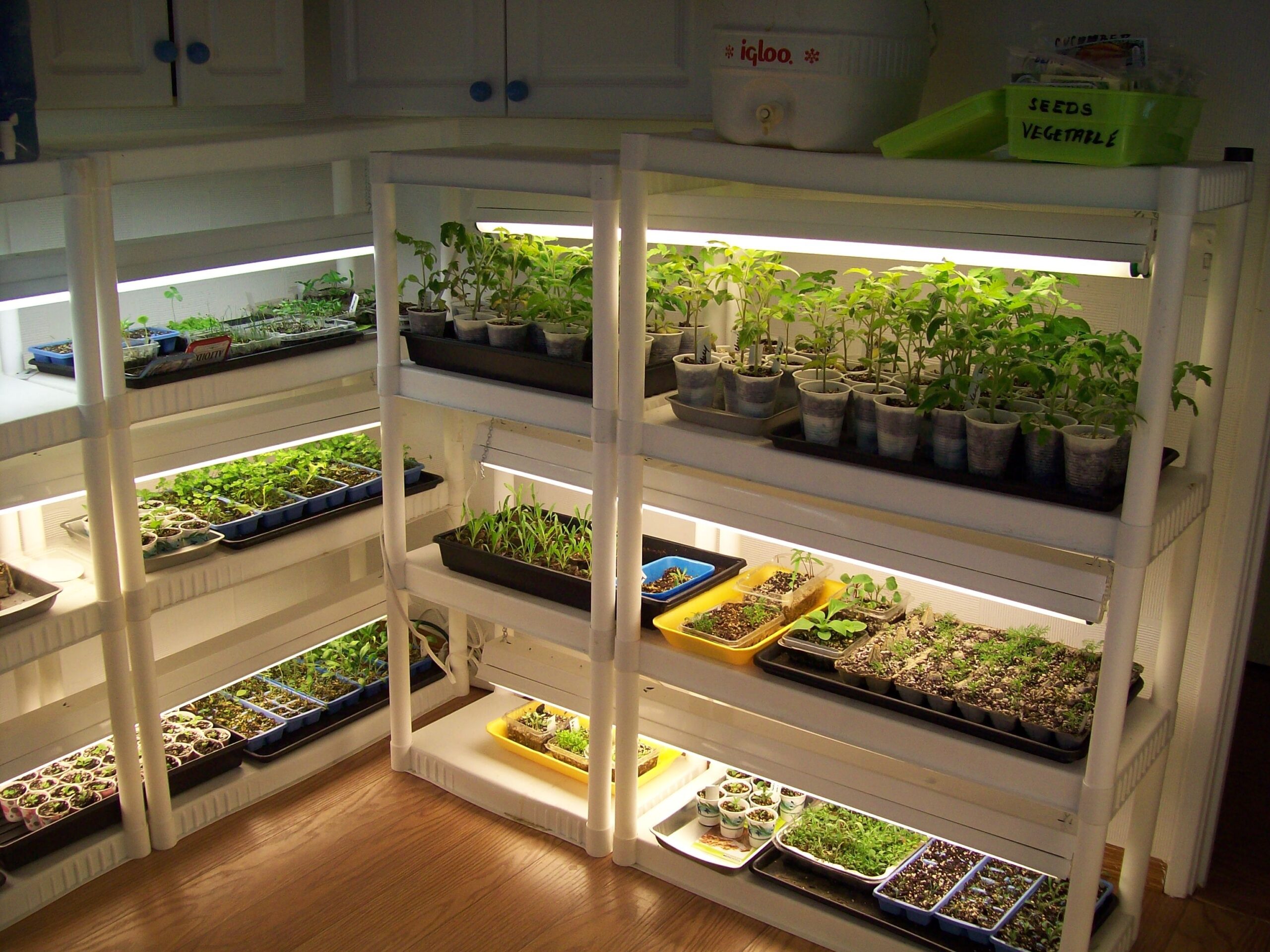 How to plan an indoor garden?