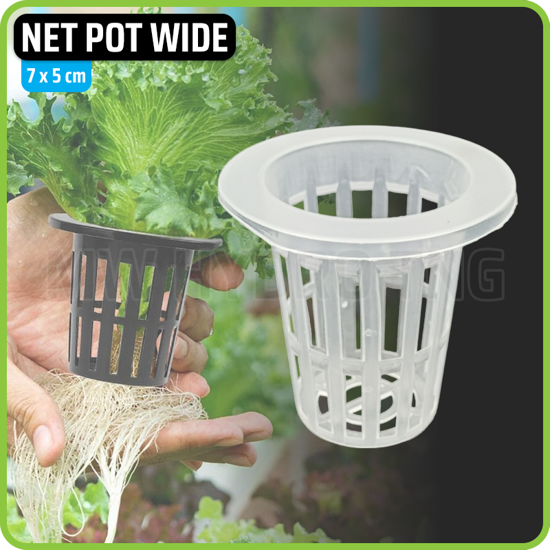 hydroponic vs soil