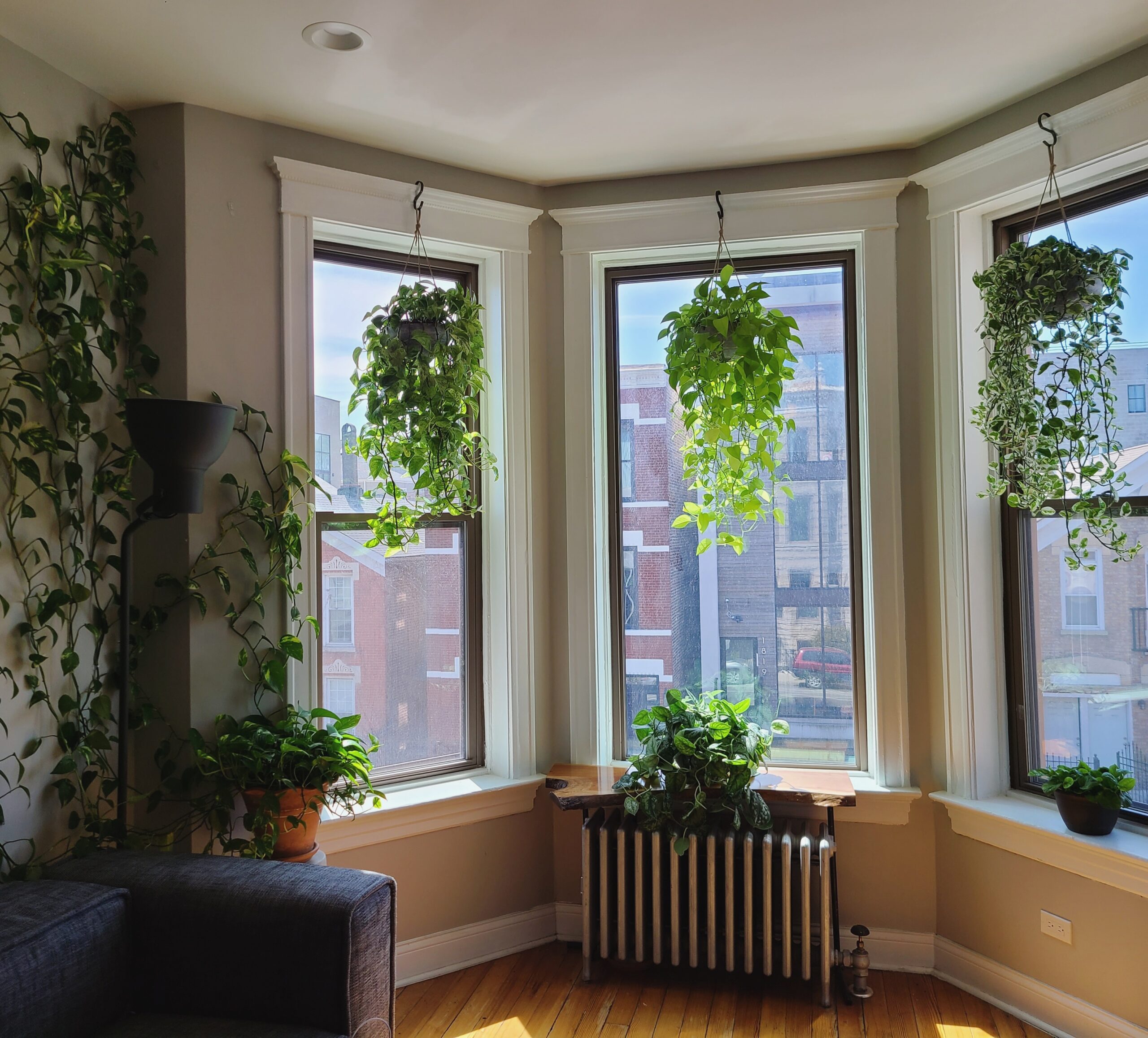 indoor light exposure