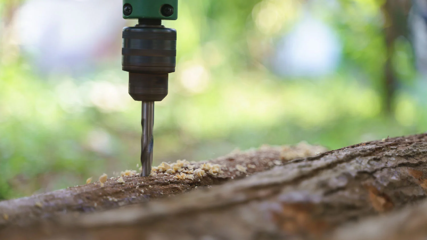 removing a stump with epsom salt