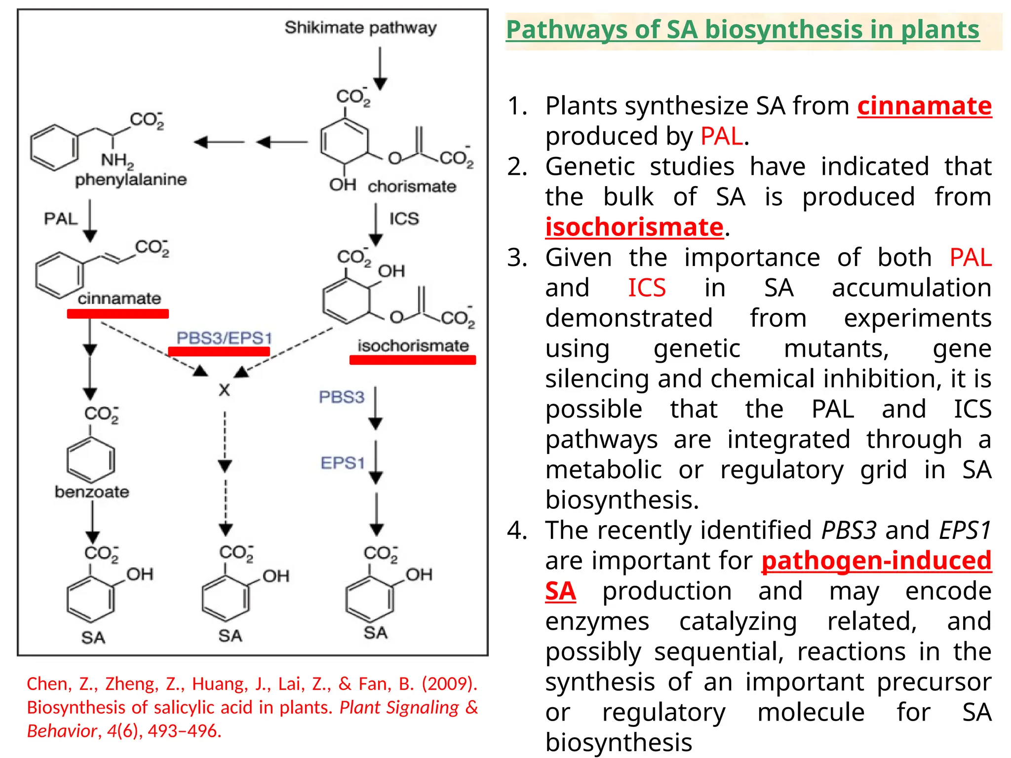 salicylic acid plant defense