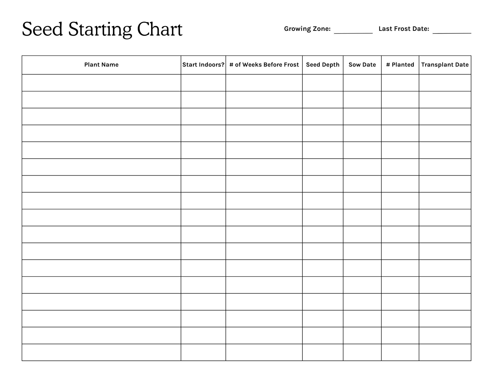 seed starting decision flowchart