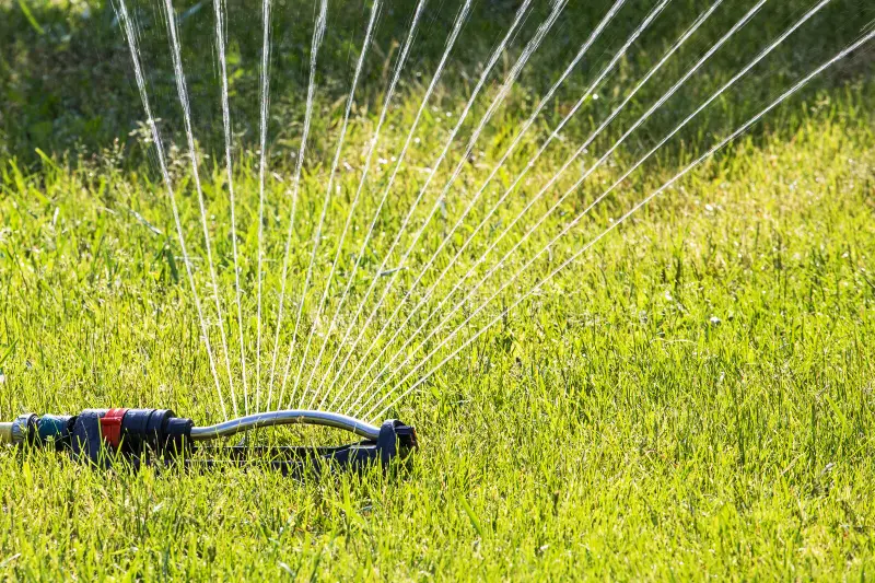 sprinkler watering lawn