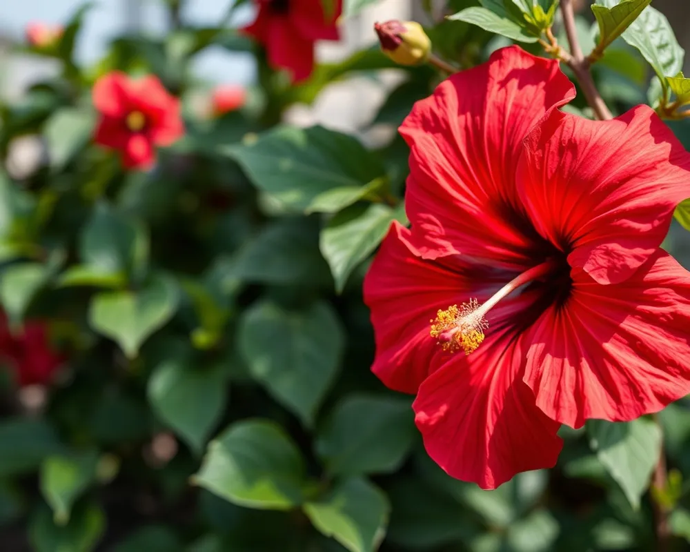 The 5-Step Visual Inspection Routine With What to Photograph