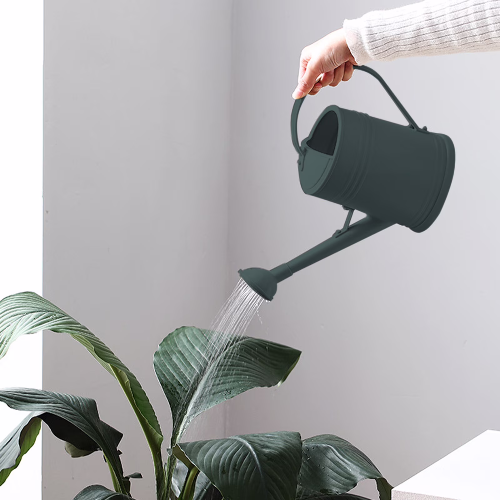 watering can