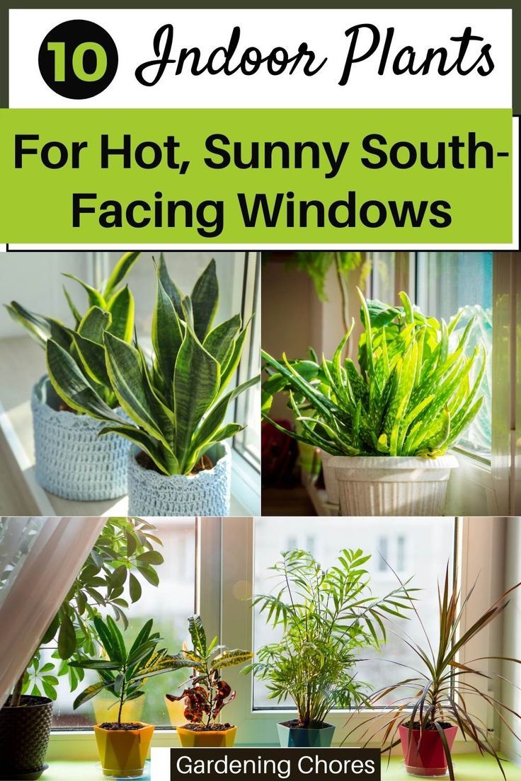 window light measurement