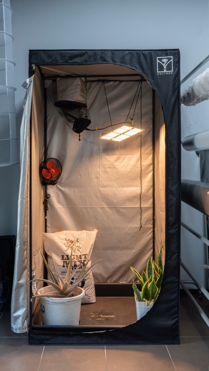 windowsill vs grow tent comparison